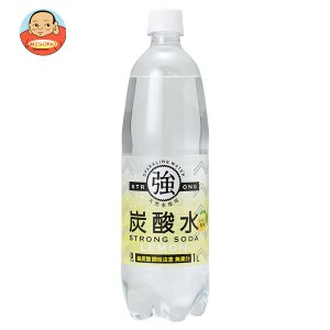 友桝飲料 強炭酸水レモン 1Lペットボトル×15本入｜ 送料無料