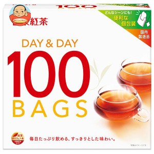三井農林 日東紅茶 DAY&DAY(デイ＆デイ) (1.8g×100袋)×24個入｜ 送料無料