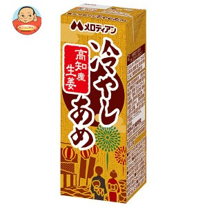 メロディアン 高知の生姜でつくった冷やしあめ 200ml紙パック×24本入×(2ケース)｜ 送料無料