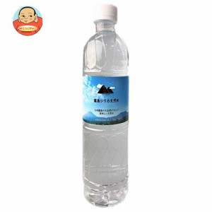 霧島シリカ水源 霧島シリカ天然水 500mlペットボトル×24本入｜ 送料無料