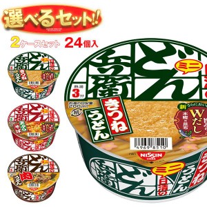 日清食品 日清のどん兵衛ミニ 選べる2ケースセット 24(12×2)個入｜ 送料無料