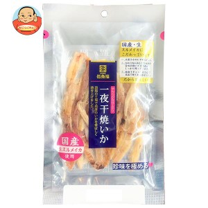 伍魚福 一夜干焼いか 34g×10袋入｜ 送料無料