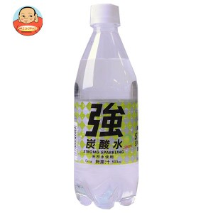 友桝飲料 強炭酸水 レモン(K) 500mlペットボトル×24本入｜ 送料無料