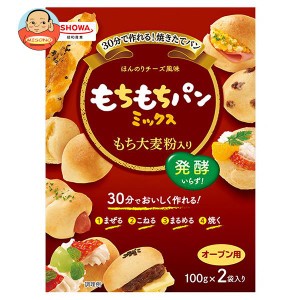 昭和産業 (SHOWA) もちもちパンミックス (100g×2袋)×6箱入｜ 送料無料