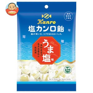 【送料無料・メーカー/問屋直送品・代引不可】カンロ 塩カンロ飴 140g×6袋入