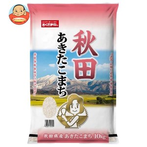 幸南食糧 秋田県産あきたこまち 10kg×1袋入｜ 送料無料