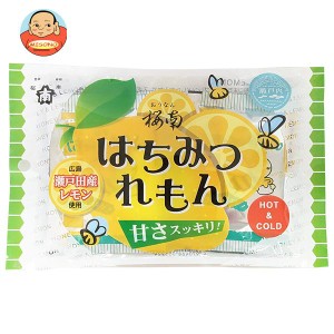 桜南食品 はちみつれもん (22g×4)×15袋入｜ 送料無料