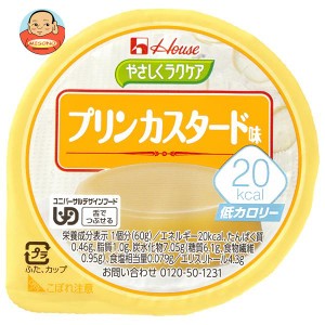 ハウス食品 やさしくラクケア 20kcal プリンカスタード味 60g×48個入×(2ケース)｜ 送料無料