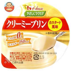 ハウス食品 やさしくラクケア クリーミープリン カスタード風味 63g×48個入×(2ケース)｜ 送料無料