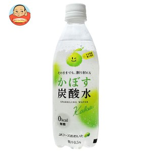 JAフーズ大分 かぼす炭酸水 500mlペットボトル×24本入×(2ケース)｜ 送料無料