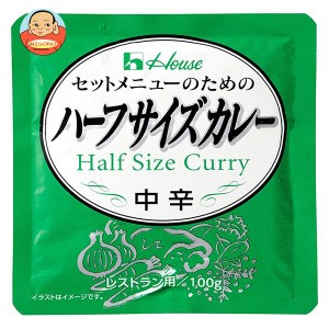 ハウス食品 ハーフサイズカレー 100g×36袋入｜ 送料無料