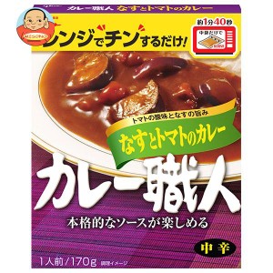 江崎グリコ カレー職人 なすとトマトのカレー中辛 170g×10個入×(2ケース)｜ 送料無料