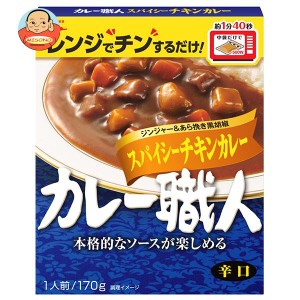 江崎グリコ カレー職人 スパイシーチキンカレー辛口 170g×10個入｜ 送料無料