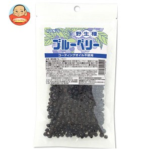 東洋ナッツ 野生種 ブルーベリー 110g×10袋入｜ 送料無料