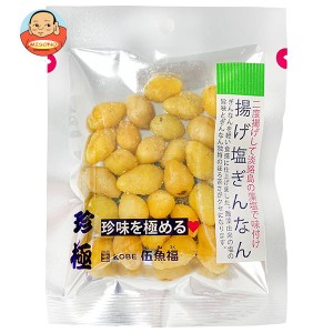 伍魚福 一杯の珍極 揚げ塩ぎんなん 22g×10袋入｜ 送料無料