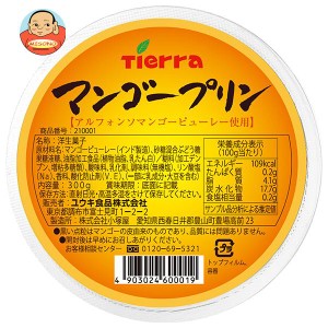 ユウキ食品 マンゴープリン 300g×24個入｜ 送料無料