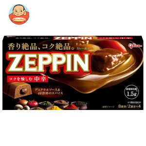 江崎グリコ カレーZEPPIN 中辛 175g×10個入×(2ケース)｜ 送料無料