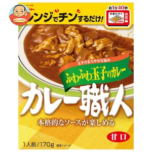 江崎グリコ カレー職人 ふわふわ玉子のカレー甘口 170g×10個入×(2ケース)｜ 送料無料