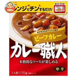 江崎グリコ カレー職人 ビーフカレー中辛 170g×10個入｜ 送料無料