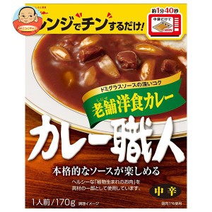 江崎グリコ カレー職人 老舗洋食カレー中辛 170g×10個入｜ 送料無料