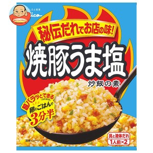 江崎グリコ 焼豚うま塩炒飯の素 35.2g×10袋入×(2ケース)｜ 送料無料