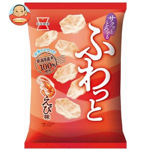 【送料無料・メーカー/問屋直送品・代引不可】岩塚製菓 ふわっと やわらかえび味 45g×10袋入