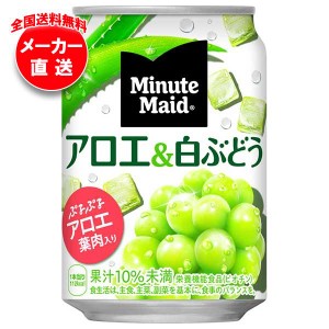 【全国送料無料・メーカー直送品・代引不可】コカコーラ ミニッツメイド アロエ＆白ぶどう 280g缶×24本入×(2ケース)