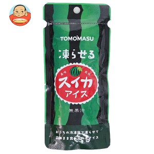 友桝飲料 果実アイス スイカ 80gパウチ×12本入×(2ケース)｜ 送料無料