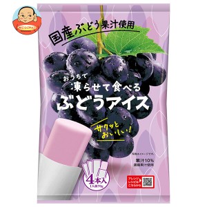 谷尾食糧工業 凍らせて食べる 国産ぶどうアイス (70g×4)×12袋入｜ 送料無料