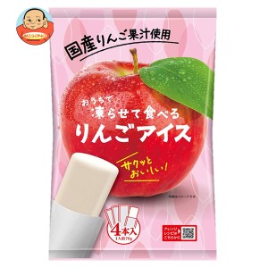 谷尾食糧工業 凍らせて食べる 国産りんごアイス (70g×4)×12袋入×(2ケース)｜ 送料無料