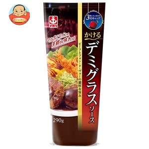 イカリソース かけるデミグラスソース 290g×10本入｜ 送料無料