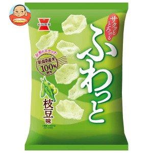 岩塚製菓 ふわっと 枝豆味 41g×10袋入｜ 送料無料