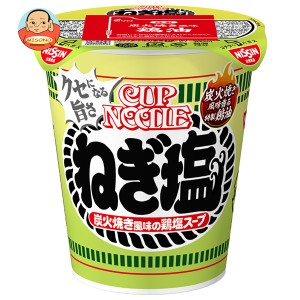 日清食品 カップヌードル ねぎ塩 76g×20個入｜ 送料無料