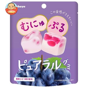 カバヤ ピュアラルグミ ぶどう 58g×8個入｜ 送料無料