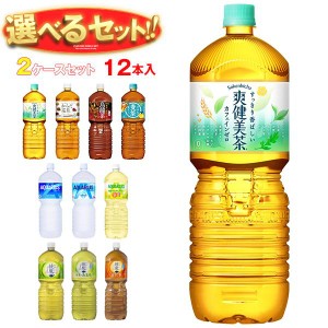 コカコーラ コカコーラ社製品 選べる2ケースセット 2Lペットボトル×12(6×2)本入｜ 送料無料