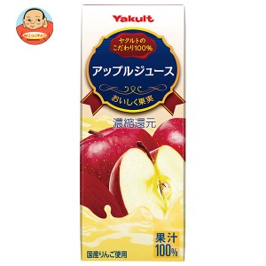 ヤクルト アップルジュース 200ml紙パック×24本入×(2ケース)｜ 送料無料