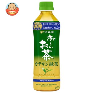 伊藤園 お〜いお茶 カテキン緑茶【特定保健用食品 特保】 500mlペットボトル×24本入｜ 送料無料