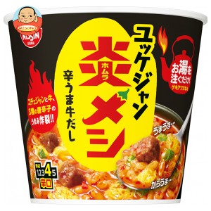 日清食品 日清炎メシ 辛うまユッケジャン 106g×6個入｜ 送料無料