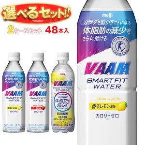 明治 VAAM (ヴァーム)スマートフィットウォーター 選べる2ケースセット 500mlペットボトル×48(24×2)本入｜ 送料無料