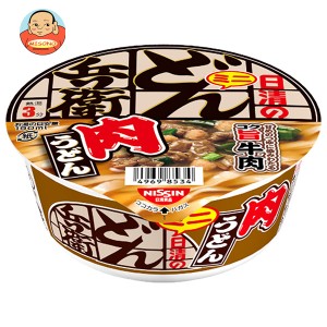 日清食品 日清のどん兵衛 肉うどんミニ 40g×24個入｜ 送料無料 インスタント 即席 カップ麺 うどん 肉 ミニ どん兵衛