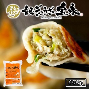 宝永 手造りぎょうざ 600g 送料無料 北海道 餃子 冷凍 焼くだけ 簡単 お土産 ご当地 ギフト 贈り物 プレゼント