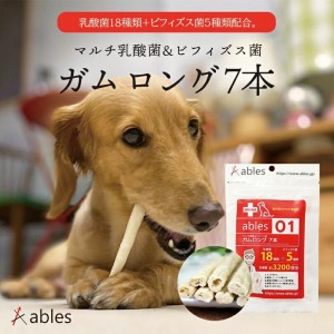 犬用 ables 01 マルチ乳酸菌＆ビフィズス菌ガム ロング 7本入 送料無料 乳酸菌 おやつ ごはん 犬飯 ペットフード