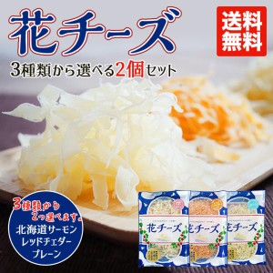 3種類から2個選べる 花チーズ 【プレーン レッドチェダー 北海道サーモン】 送料無料 レターパック 送料込み ちーず チーズ 北海道 おつ