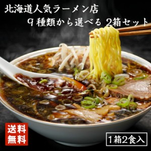 2000円ポッキリ ラーメン 送料無料 北海道 名店 ラーメン 選べる2種 食べ比べ 詰め合わせ 北海道 お土産 味噌ラーメン 塩ラーメン 醤油ラ