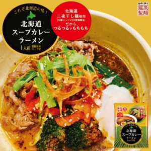 藤原製麺 北海道スープカレーラーメン 1食 北海道 スープカレー ラーメン 乾麺 即席 つるつる もちもち さらさら 人気 お土産 手土産 自