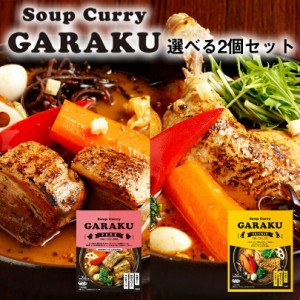 スープカレー 選べる GARAKU 札幌スープカレー2種類 2個セット 送料無料 北海道 お土産 ガラク カレー 有名店 人気 手土産 プレゼント 贈