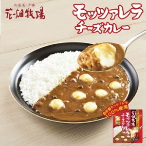 花畑牧場 モッツァレラチーズカレー 150g 北海道 お土産 ギフト ご当地 カレー チーズ