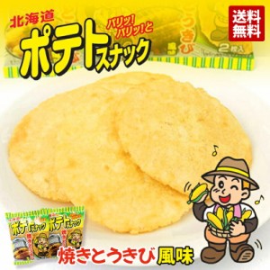 ポテトスナック 焼きとうきび風味 2個セット 送料無料 北海道 人気 お土産 ご当地 贈り物 ギフト スナック菓子 お菓子 バレンタイン