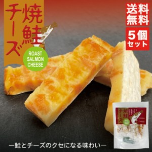 焼鮭チーズ 48g 7個入 ×5個セット 送料無料 メール便 丸市食品 北海道 お土産 鮭 サーモン チーズ 珍味 おつまみ お菓子 ギフト プレゼ