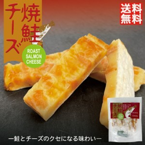 焼鮭チーズ 48g 7個入 送料無料 送料込み 丸市食品 北海道 お土産 鮭 サーモン チーズ 珍味 おつまみ お菓子 ギフト プレゼント お取り寄